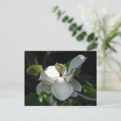 Southern Magnolia Briefkaart (Staand voorkant)