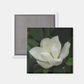 Southern Magnolia Magneet (Voorkant / Achterkant)