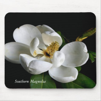 Southern Magnolia Muismat
