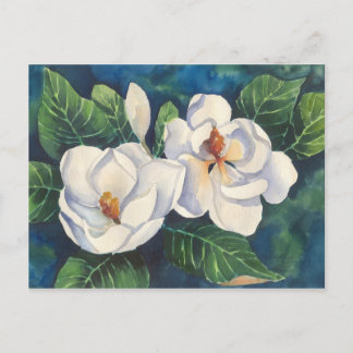 Southern Magnolias Briefkaart