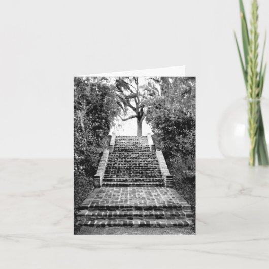 Southern Plantation Inspired Notecard Kaart (Voorkant)