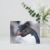 Southern Rockhopper Penguin Briefkaart (Staand voorkant)