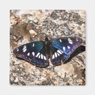 Southern White Admiral Blue Butterfly Painting Magneet