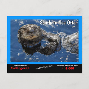 Southern Zee Otter is een bedreigde diersoort 5 - Feestdagenkaart