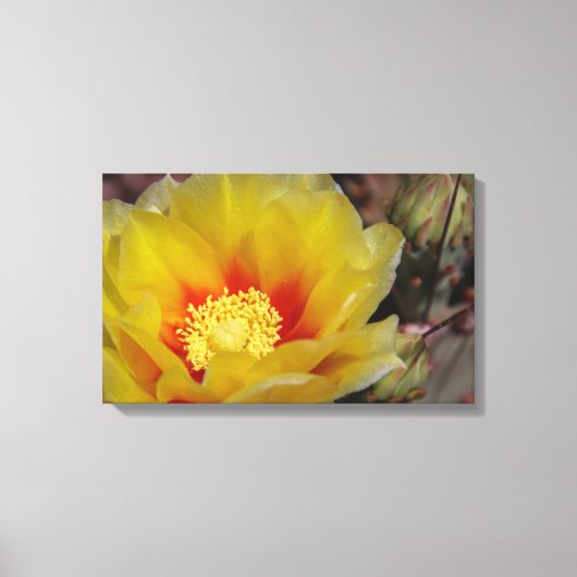 Southwest bloom canvas afdruk (Voorkant)