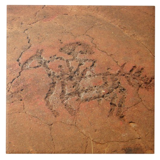 Southwest Petroglyph Ceramic Tile Tegeltje (Voorkant)
