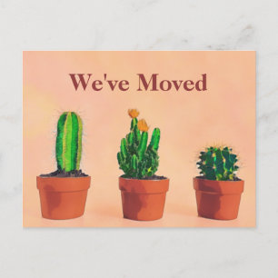 Southwest Theme Moving Announcement Potlood Plante Briefkaart