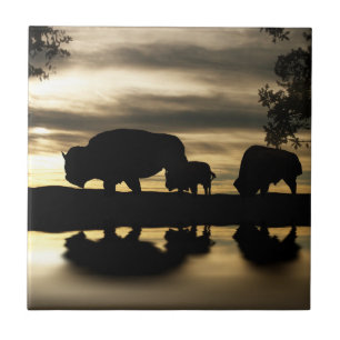 Southwestern Art Tile Tegeltje