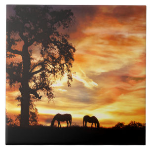 Southwestern Sunset with Horses and Oak Tree Tegeltje