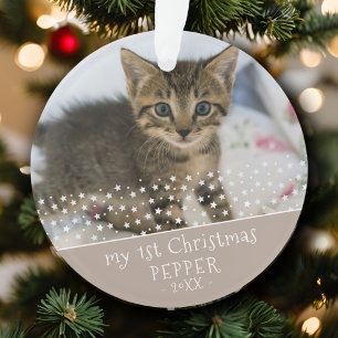 Souvenir de la 1ère photo de Noël de chat