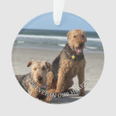 Souvenir de souvenir Empreintes de pattes dans vot (devant)