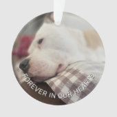 Souvenir de souvenir Empreintes de pattes dans vot (devant)