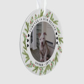 Souvenir de sympathie pour animaux de compagnie 2  (devant)