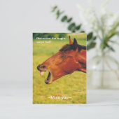 Souvenir des rires cheval Carte postale (Debout devant)