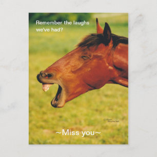 Souvenir des rires cheval Carte postale