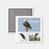 Souvenir d'Ozzie Magnet (Recto/Verso)