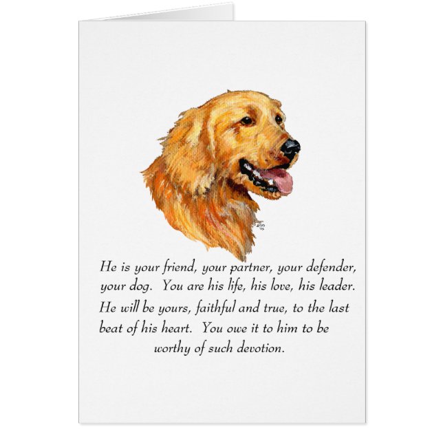 Souvenir Golden Retriever (Devant)