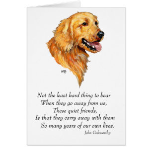 Souvenir Golden Retriever