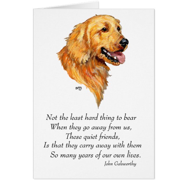 Souvenir Golden Retriever (Devant)