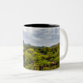 Souvenir Kyoto Japan Coffee Mug (Devant droit)