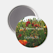 Souvenir Magnet, Het Bloemenveld, Carlsbad, CA. Magneet (Voorkant / Achterkant)