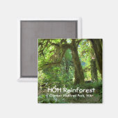 Souvenir Magnet-Hoh Rainforest, Olympisch NP Magneet (Voorkant / Achterkant)