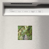 Souvenir Magnet-Quinault Rainforest, Olympisch NP Magneet (Insitu (Vaatwasser))