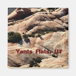 Souvenir Magnet: Yants Flats, St. George, UT Magneet