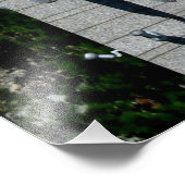 Souvenir photo personnalisable Mount Rushmore (Coin)