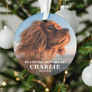 Souvenir Photo Pet Memorial