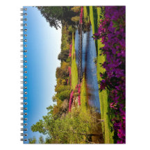 Souvenirs en mouvement : Un Carnet photo spiral