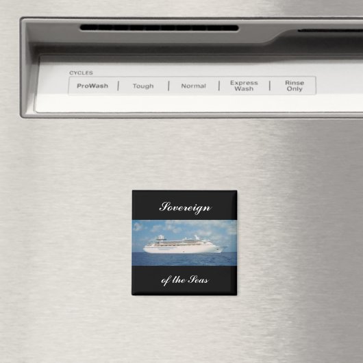 Souverain Magnet Sov2 (In Situ (Lave-vaisselle))