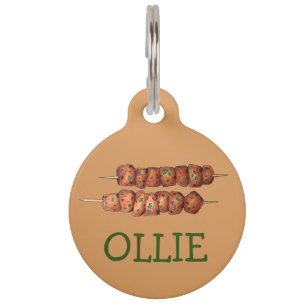 Souvlaki Meat Pork Skewer Greek Fast Food Griekenl Huisdierpenning