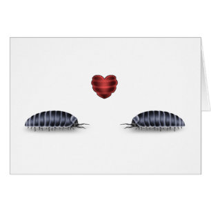 Sow Bug Luv (Lets Roll Togeather)