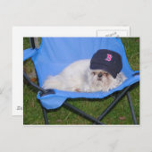 Sox Briefkaart (Voorkant / Achterkant)