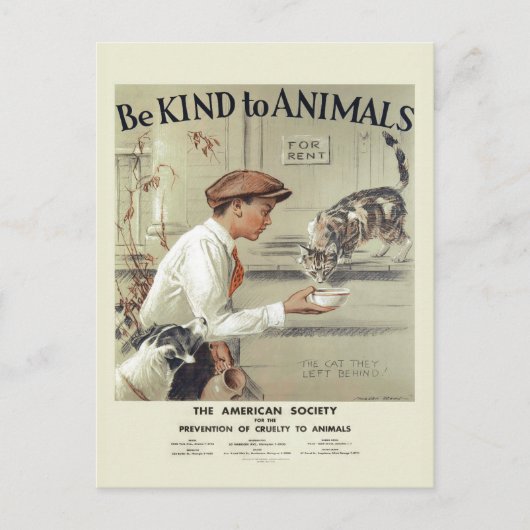 Soyez gentil avec Animaux USA Carte postale vintag (Devant)