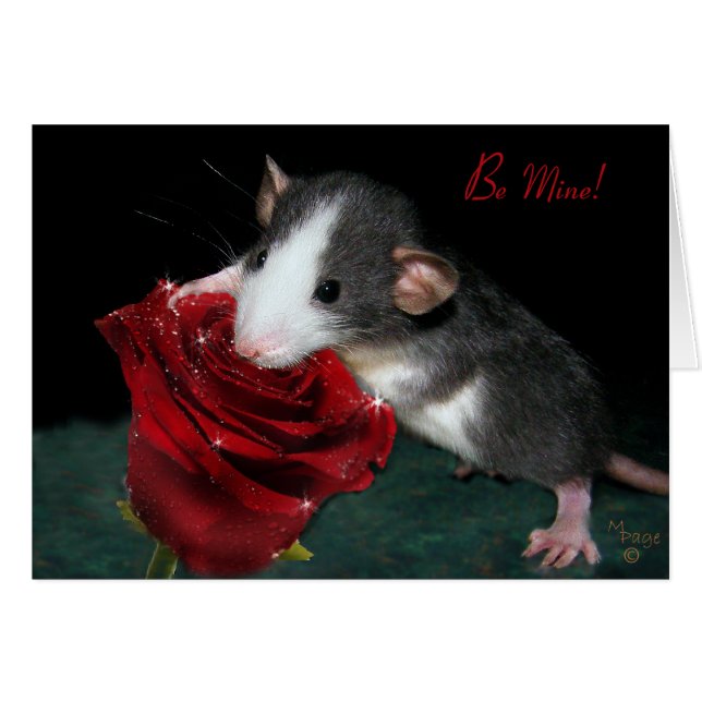 Soyez le mien ! (Devant horizontal)