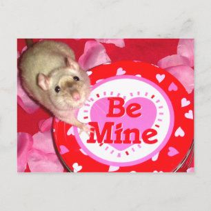 Soyez ma carte postale pour les amateurs de rat !
