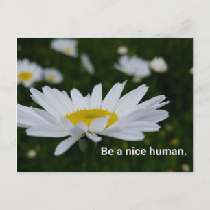 Soyez Nice une carte postale humaine