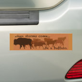 Soyez un autocollant de pare-chocs Buffalo (En voiture)