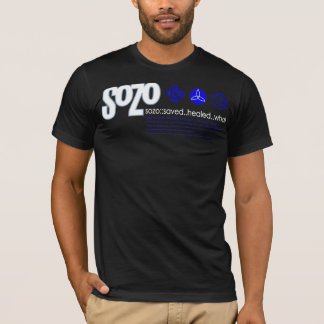 Sozo Definition V-Neck T-shirt