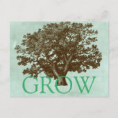 Spa-boom IV Briefkaart (Voorkant)