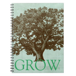 Spa-boom IV Notitieboek