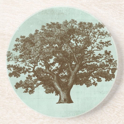 Spa-boom IV Zandsteen Onderzetter (Voorkant)