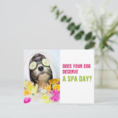 Spa de carte postale de chien Grooming (Debout devant)
