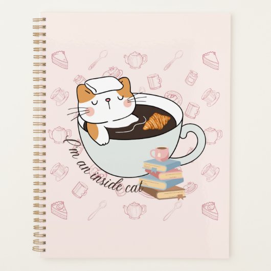 Spa de chat intérieur (Devant)