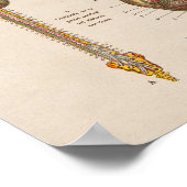 Spaans  Anatomie Afdrukbrein Poster (Hoek)