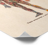 Spaans  Anatomie Afdrukken Zenuwstelsel Poster (Hoek)