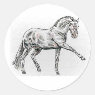 Spaans Andalusisch Paard Stickers