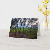 Spaans boslandschap kaart (Gele Bloem)